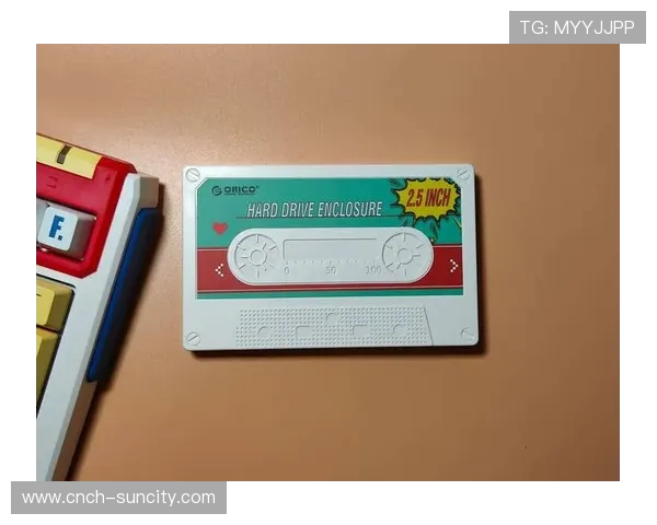 复古情怀再现 经典RP游戏卡带重温昔日光辉